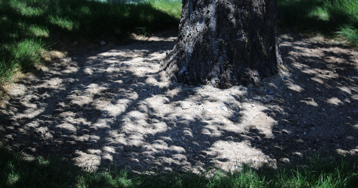 Patterns on the ground during the eclipse of 2017